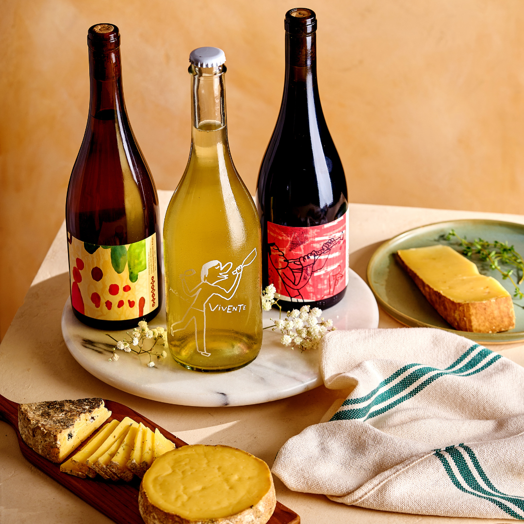 Kit Harmonização Queijos e Vinhos