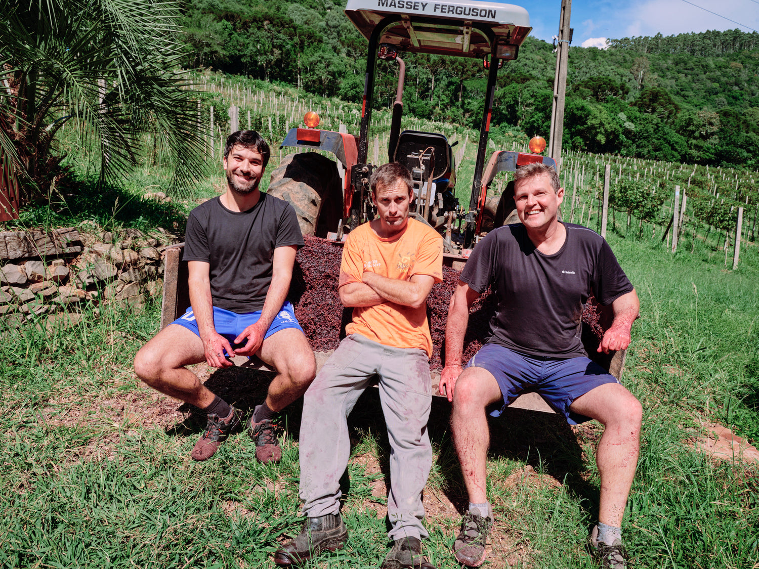 Vivente Vinhos Vivos