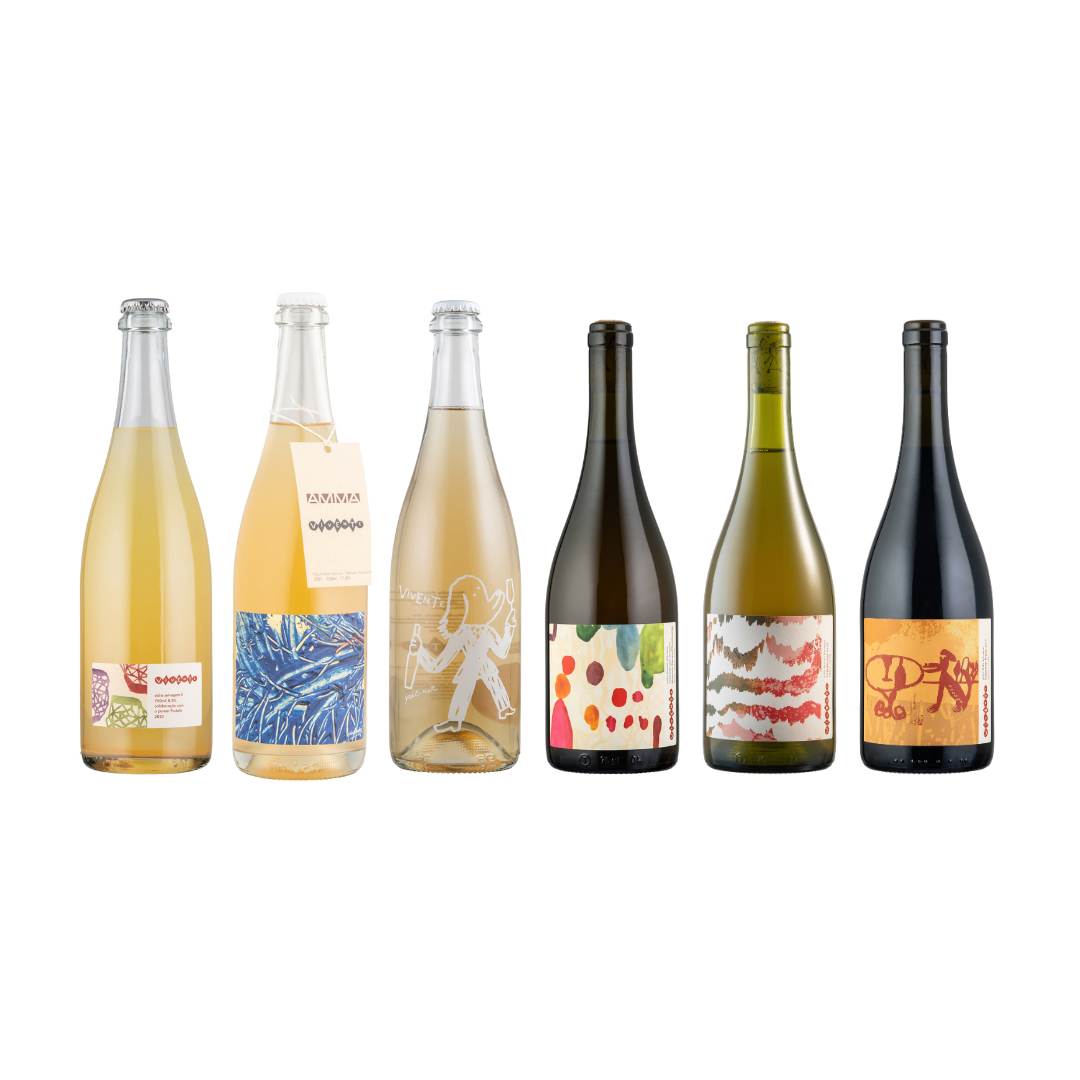 Kit Degustação Completa 6 garrafas