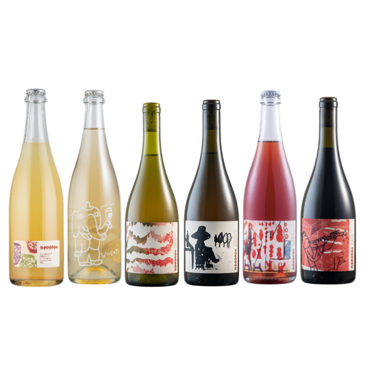 Kit Degustação Completa 6 garrafas