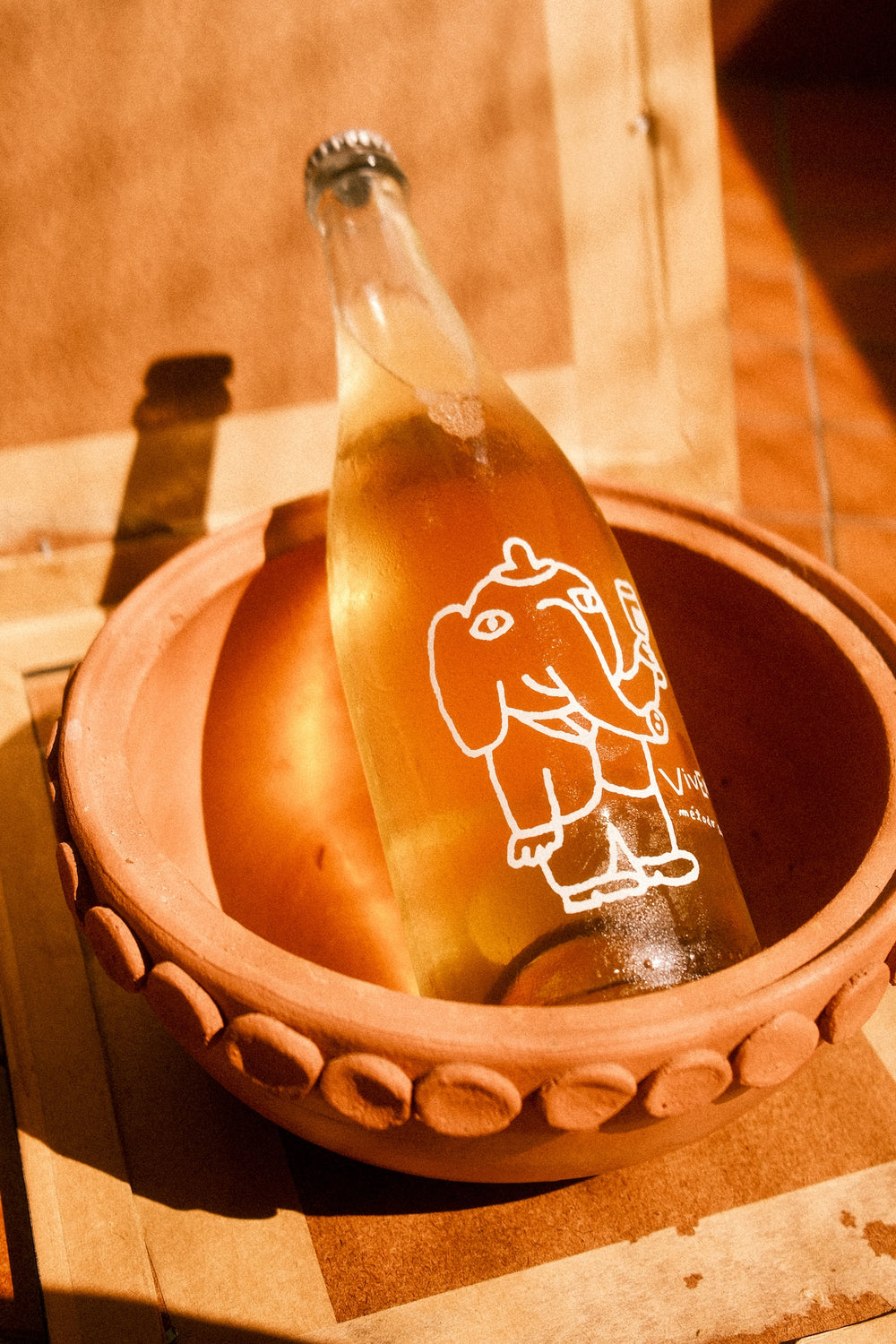 Vivente Vinhos Vivos 