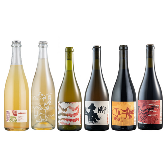 Kit Degustação Completa 6 garrafas