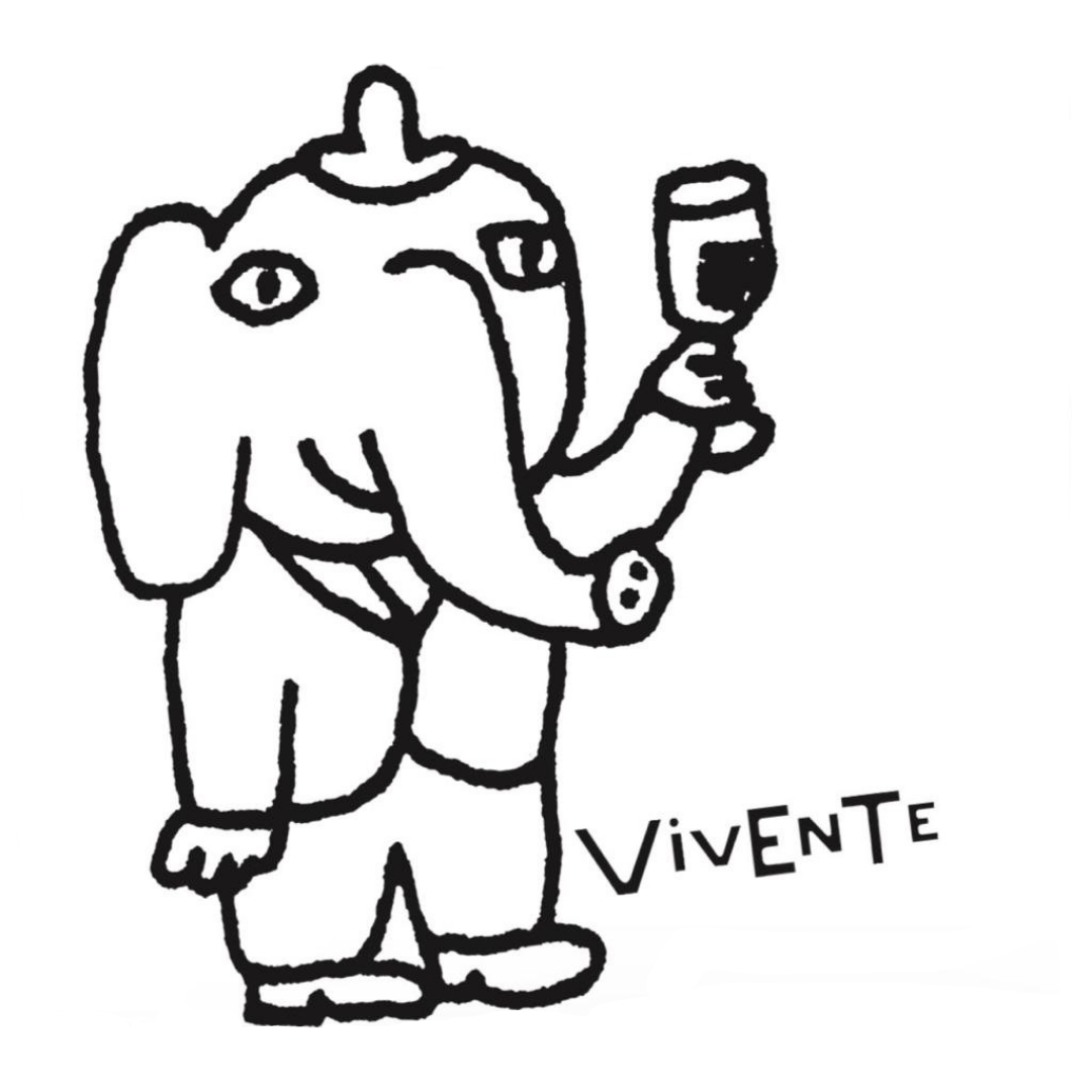 Vale Presente Digital Vivente